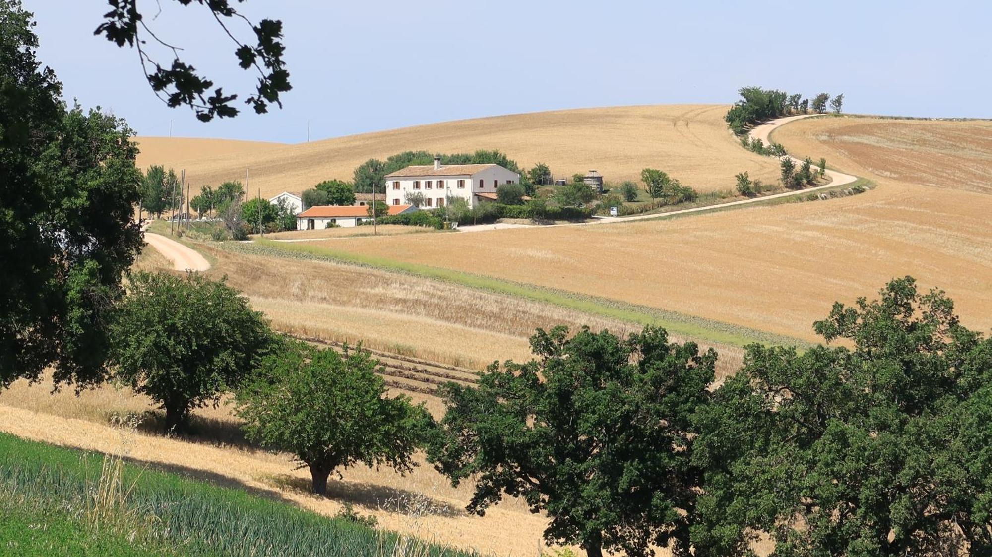Гостевой дом Rustico Del Bozzo Castelleone di Suasa Экстерьер фото